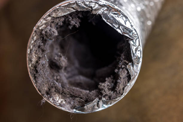 Best Duct Cleaning for Offices  in Tariffville, CT